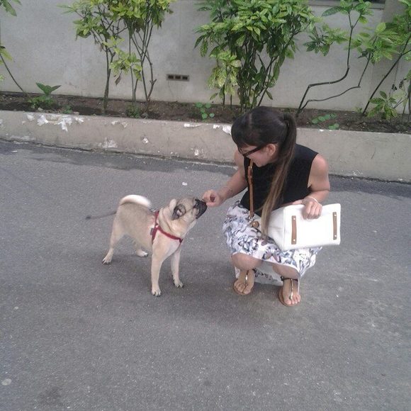 Meet your Posher, Isabelle - Picture 1 of 1